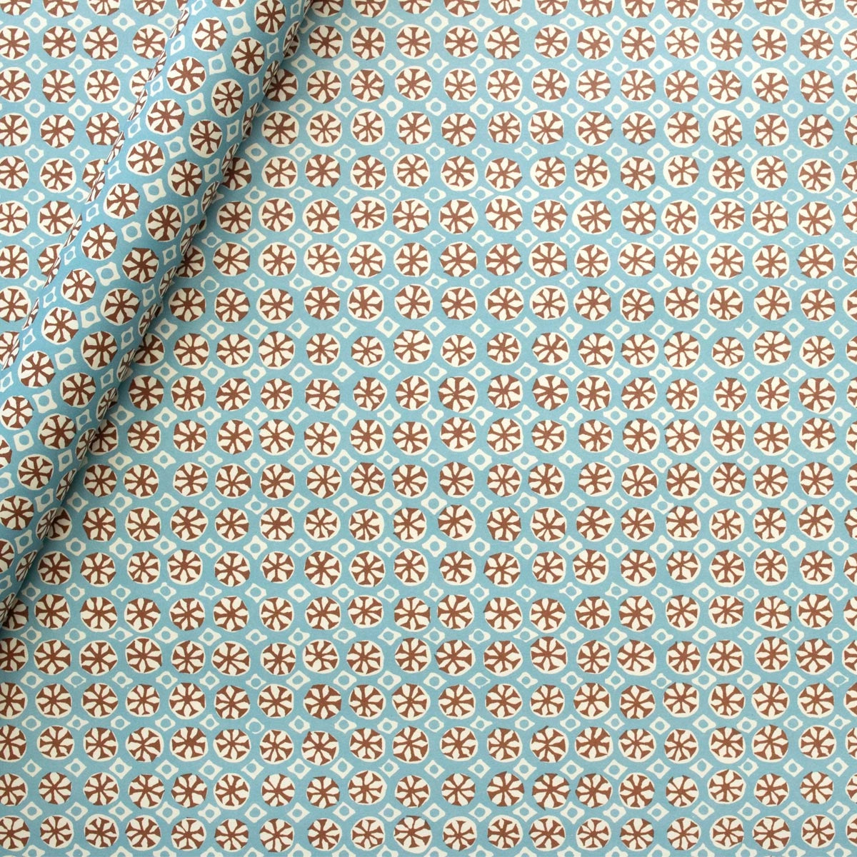 Cambridge Imprint | Sea Urchin Patterned Paper, Sky & Cocoa