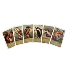 Load image into Gallery viewer, Wildlife Pairs Card Game
