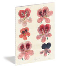 Load image into Gallery viewer, John Derian In the Garden Notebooks