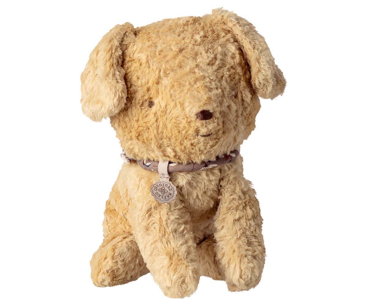 Small Puppy in Soft Sand