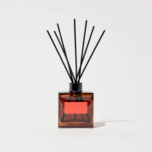 Load image into Gallery viewer, P.F. Candle Co. | Plush Vetiver HI-FI Reed Diffuser