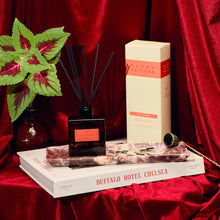 Load image into Gallery viewer, P.F. Candle Co. | Plush Vetiver HI-FI Reed Diffuser