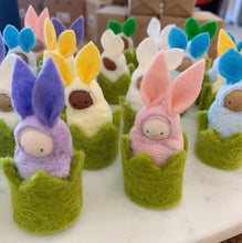 Load image into Gallery viewer, Bunny Babies in a Cozy