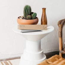 Load image into Gallery viewer, Golden coast incense resting on a small table next to a potted cactus.