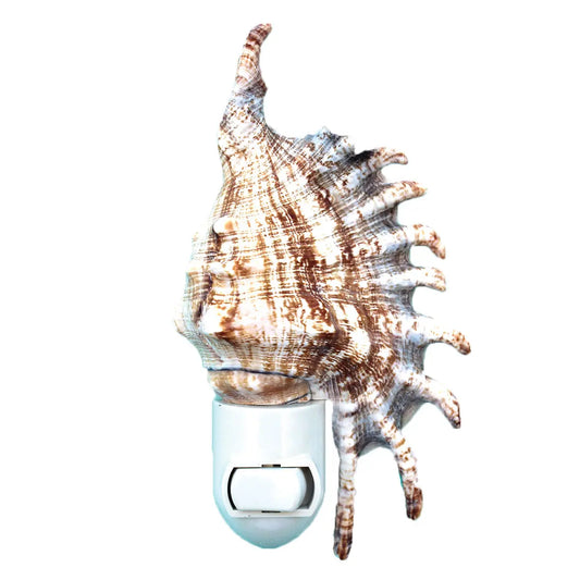 Millipede Seashell Night Light