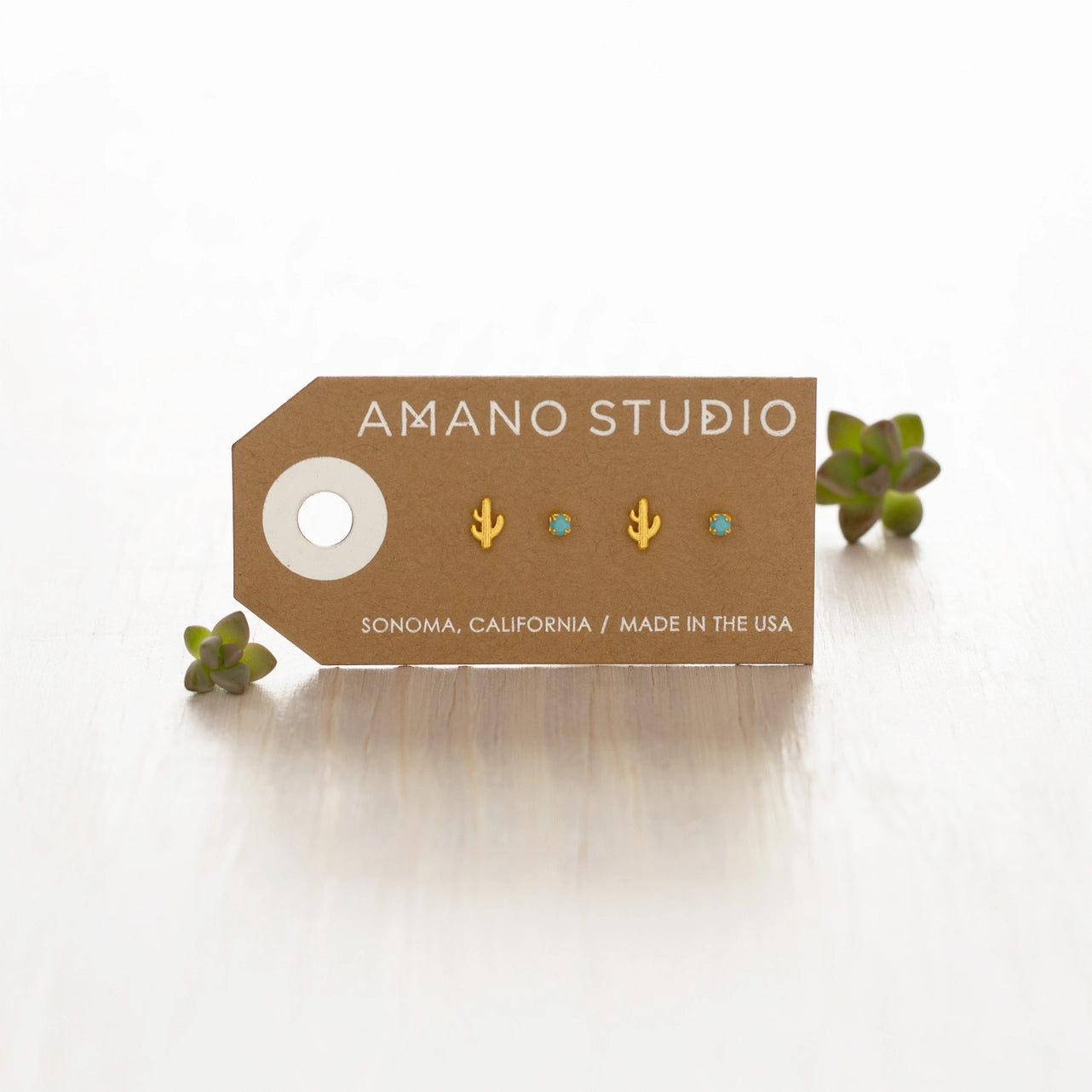 Cactus and Turquoise Stud Earrings Set
