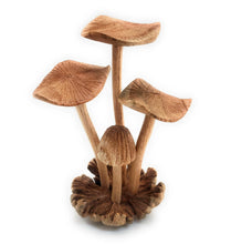 Load image into Gallery viewer, Hand Carved Wooden Mushrooms
