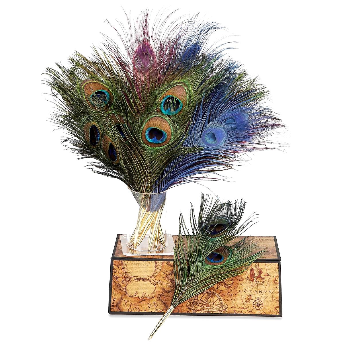 Genuine Peacock Quill Pen