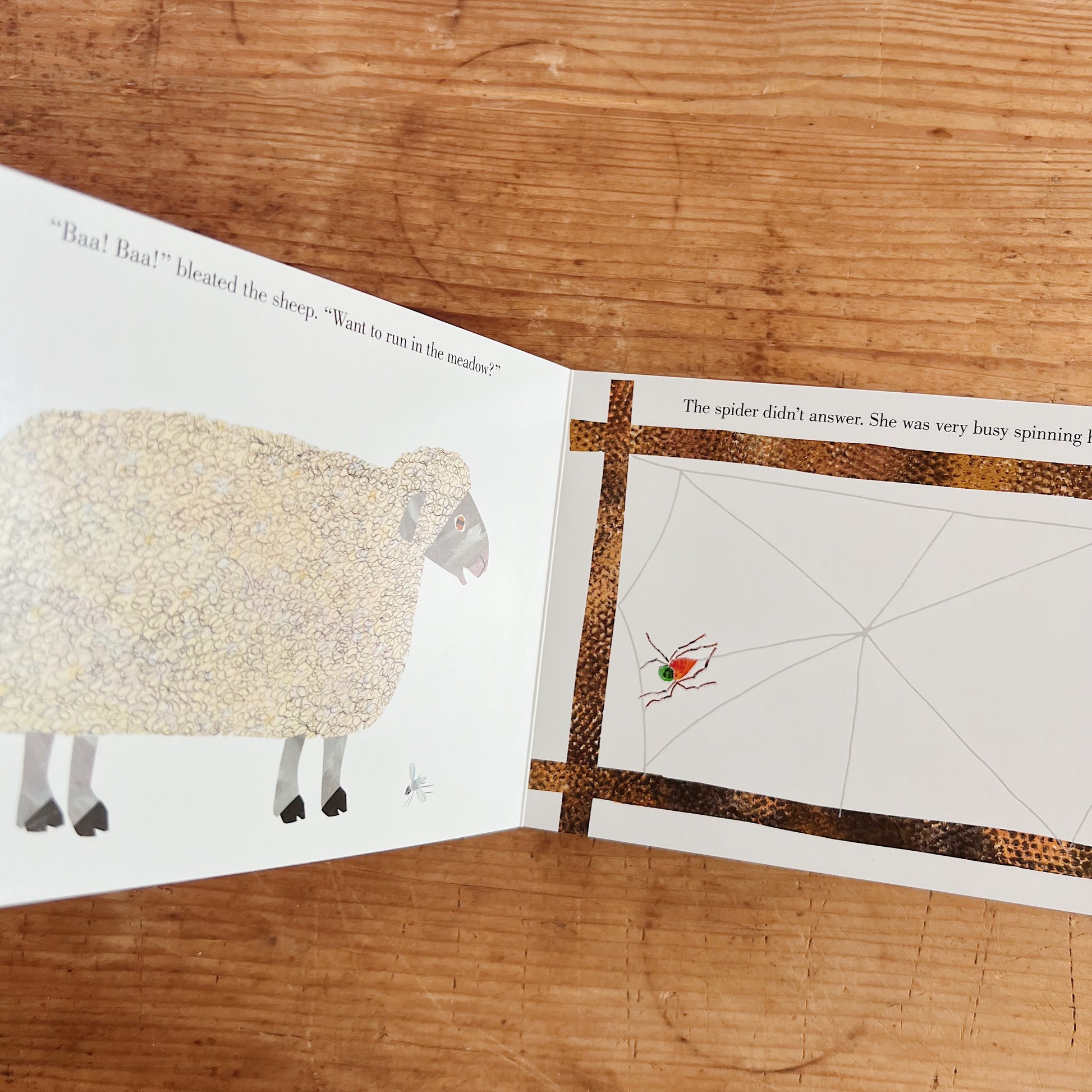 Interior spread of The Very Busy Spider showing a woolly white sheep on the left page beside text reading "Baa! Baa!" bleated the sheep. "Want to run in the meadow?", and the spider spinning her raised tactile web on the fence post on the right page, with text reading "The spider didn't answer. She was very busy spinning her web"
