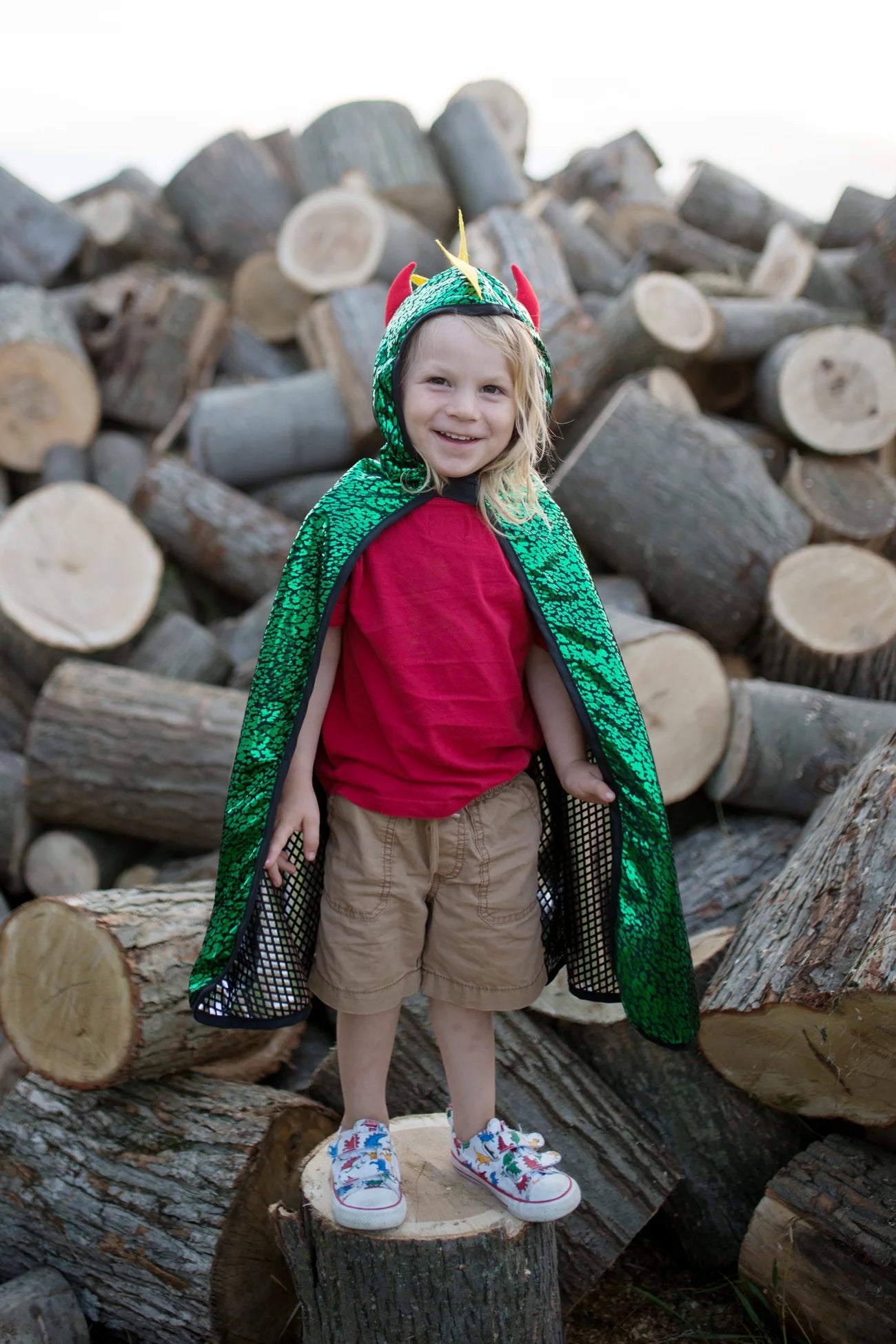 Dragon Knight Cape in Green & Silver