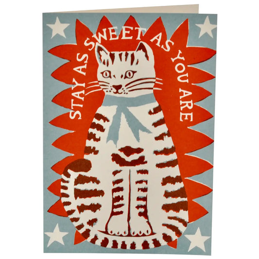 Very Large Sweet Cat Card