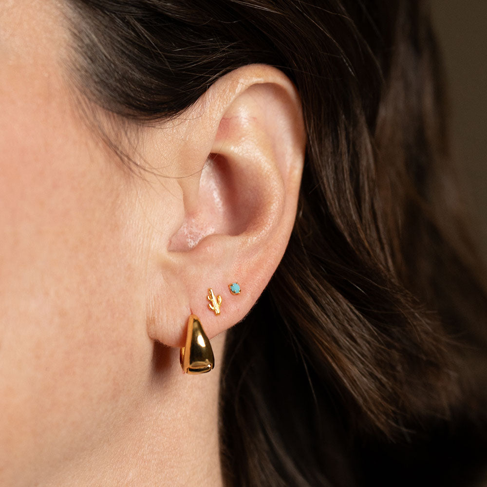 Cactus and Turquoise Stud Earrings Set