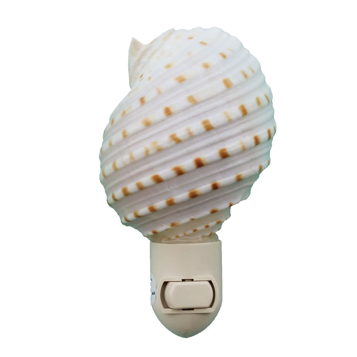 Spotted Tonna Seashell Night Light — a large oval spotted tonna shell with white ribbed ridges and rows of tan dots mounted on a white plastic plug-in switch base with a toggle switch, on a white background