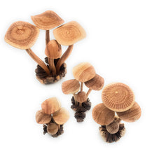 Load image into Gallery viewer, Hand Carved Wooden Mushrooms
