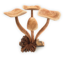 Load image into Gallery viewer, Hand Carved Wooden Mushrooms
