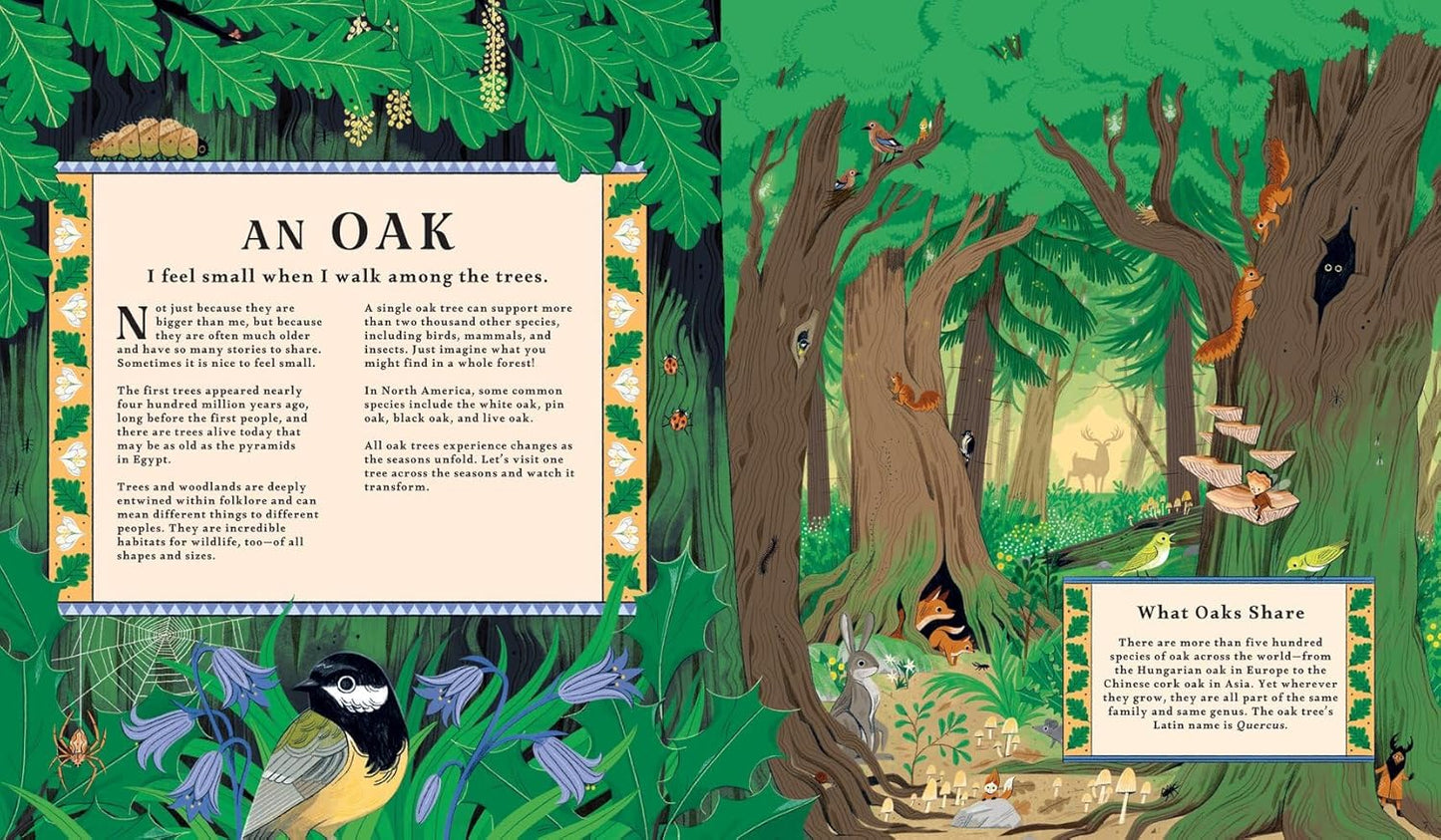 Woodlore: Discover the Seasons and Stories of the Forest