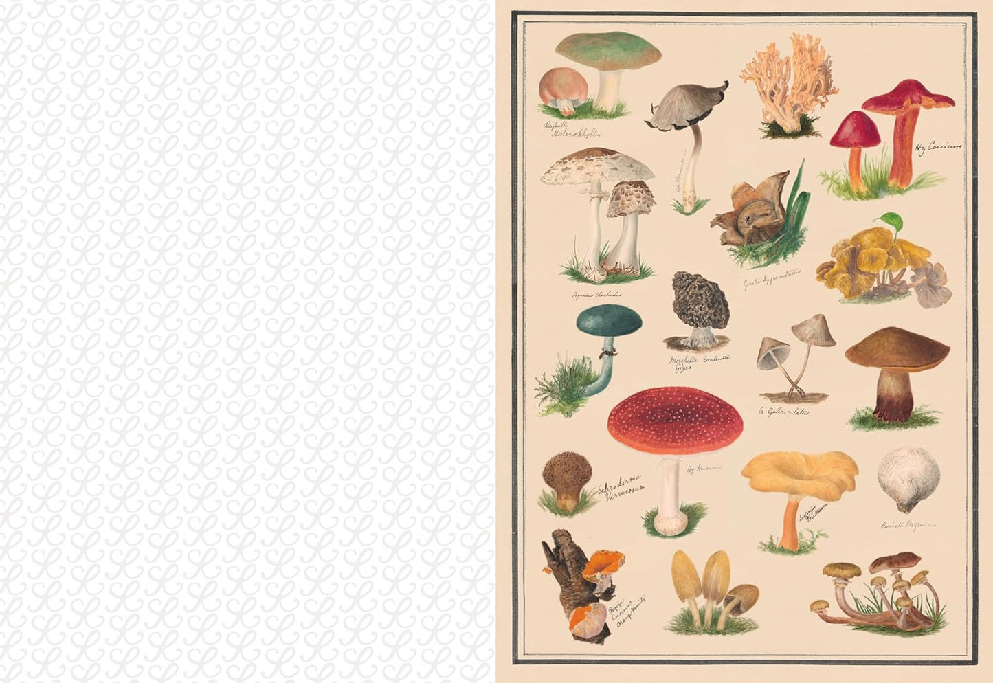 The Collage Compendium