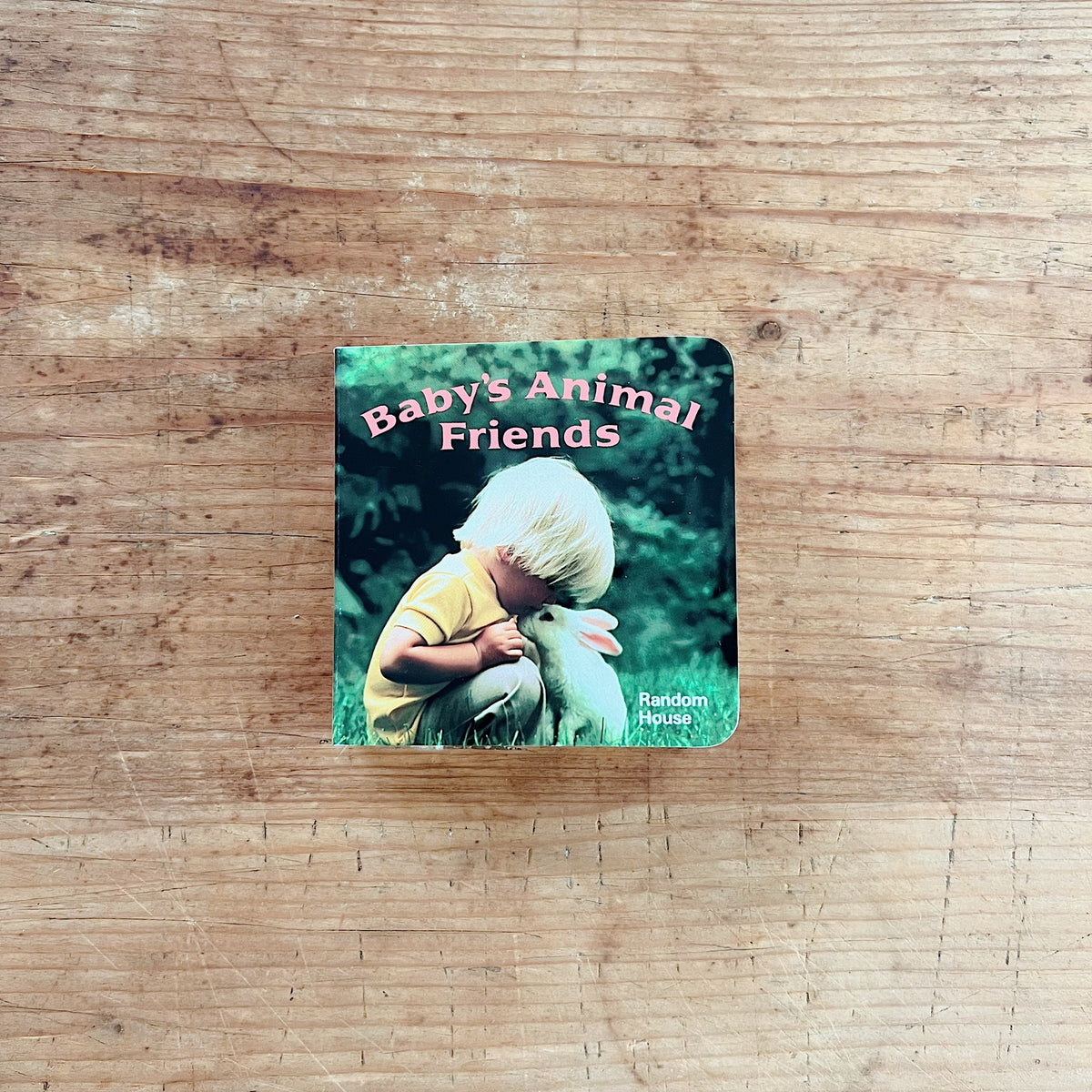 Front cover of Baby's Animal Friends, a Chunky Book board book photographed by Phoebe Dunn, featuring a full-bleed photograph of a young blond toddler in a yellow shirt crouching on green grass and pressing their face tenderly against a fluffy white rabbit, with a lush green garden background. The title "Baby's Animal Friends" is printed in rounded pink lettering at the top, and the Random House logo appears in white in the lower right corner, displayed flat on a warm wood surface.

