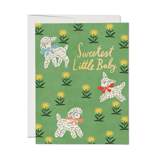 Little Lamb Card