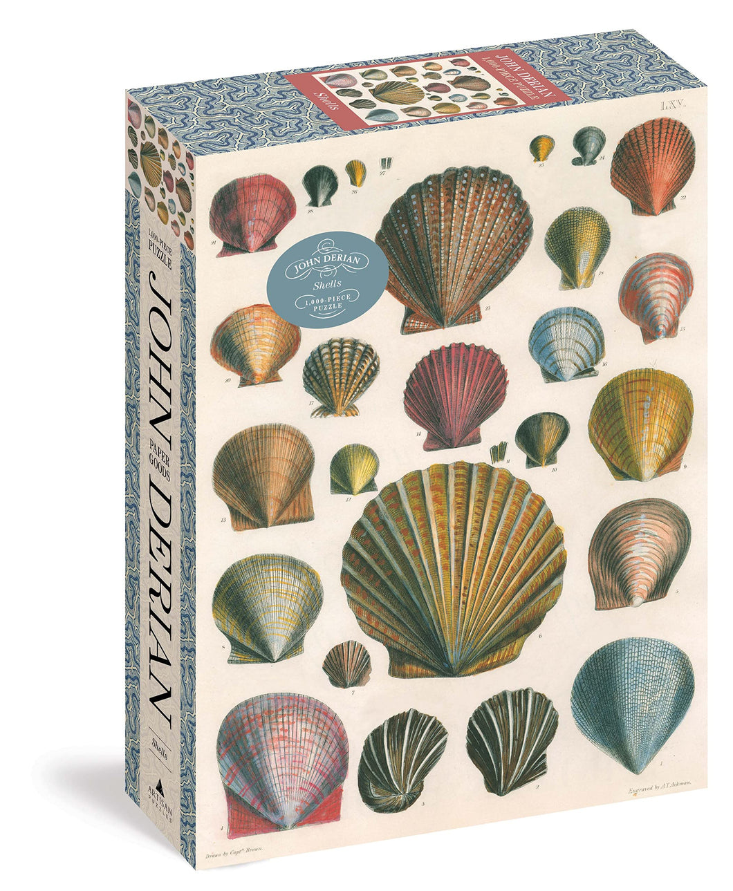 1000 Piece Puzzle | Shells by John Derian
