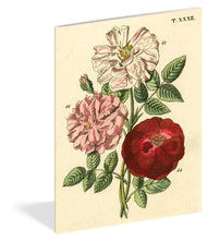 Load image into Gallery viewer, John Derian Everything Roses Notebooks
