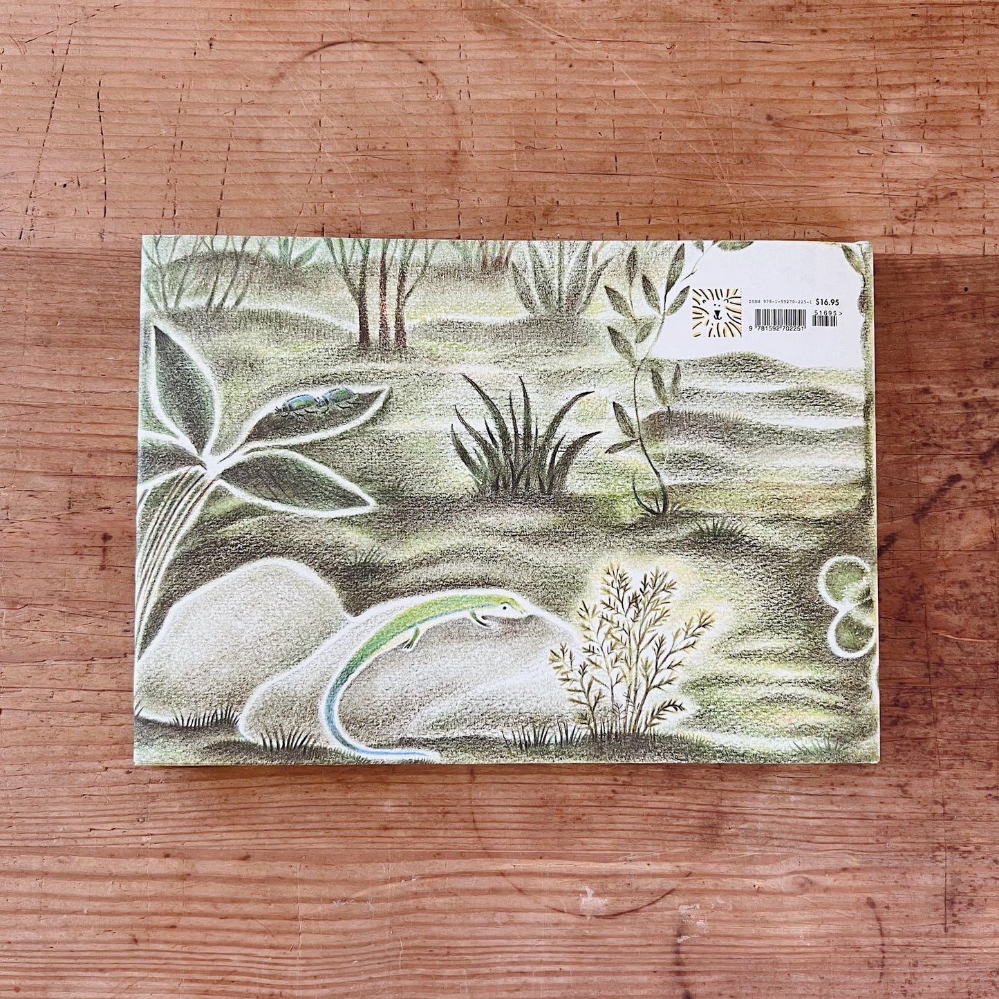 The back cover of the book shown on a wooden surface.