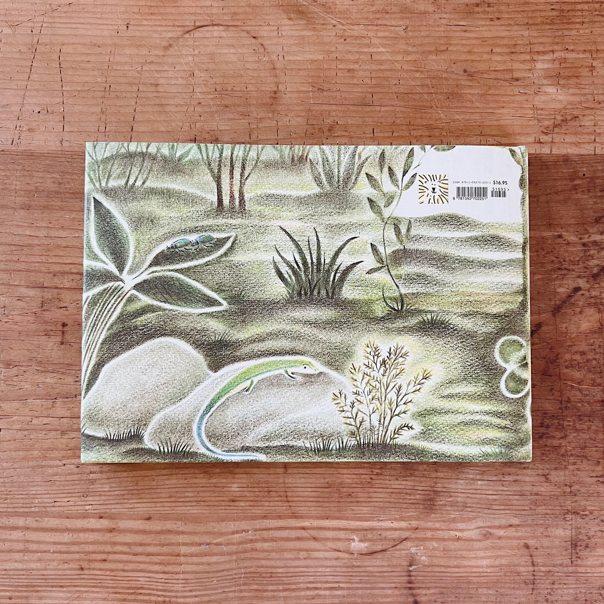 The back cover of the book shown on a wooden surface.