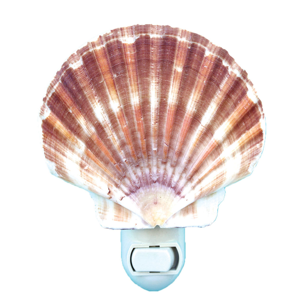 Irish Flat Seashell Night Light