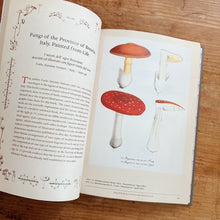 Load image into Gallery viewer, Mushroom Botanical Art
