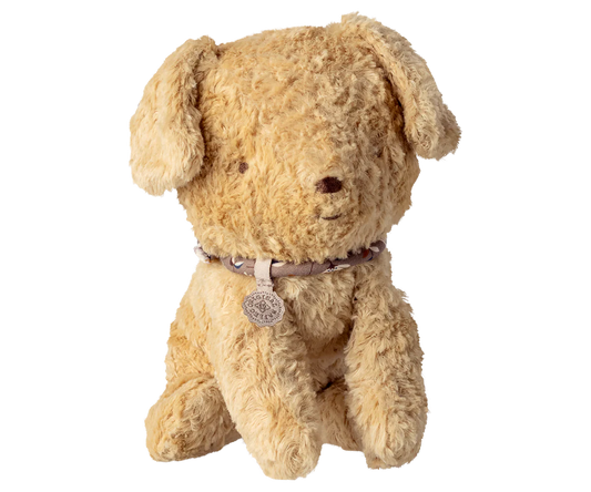 Small Puppy in Soft Sand