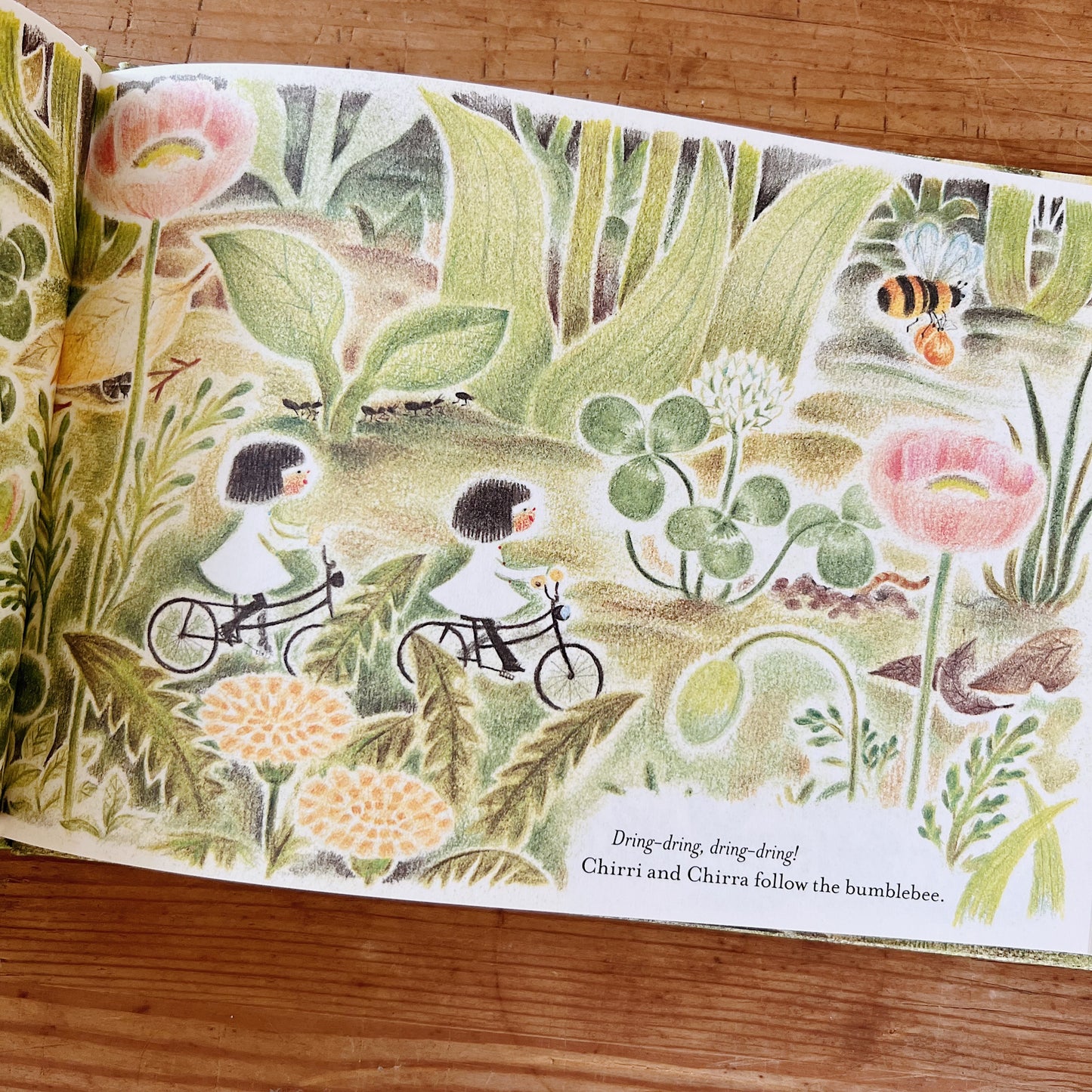 Close-up of a page of the book showing two girls on bicycles riding through a field with the text 'dring-dring, dring-dring! Chirri and Chirra follow the bumblebee.'