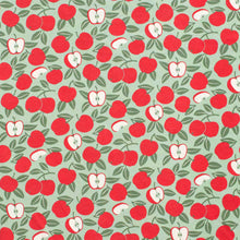 Load image into Gallery viewer, Winter Water Factory | Lausanne Baby Dress in Red and Green Apples
