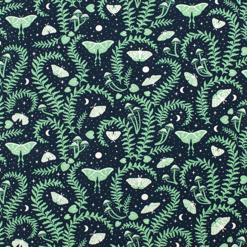 Winter Water Factory | Lausanne Baby Dress in  Luna Moths Night Sky