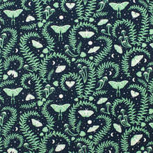 Load image into Gallery viewer, Winter Water Factory | Lausanne Baby Dress in  Luna Moths Night Sky
