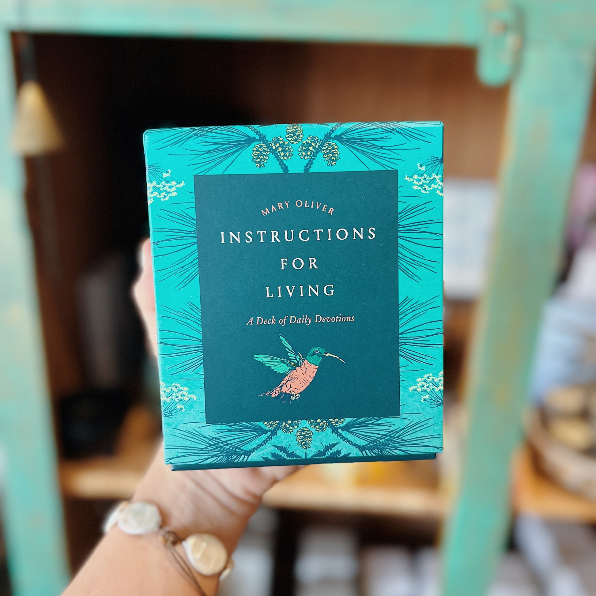Hand holding a book titled 'Instructions for Living' with decorative cover against a blurred indoor background.
