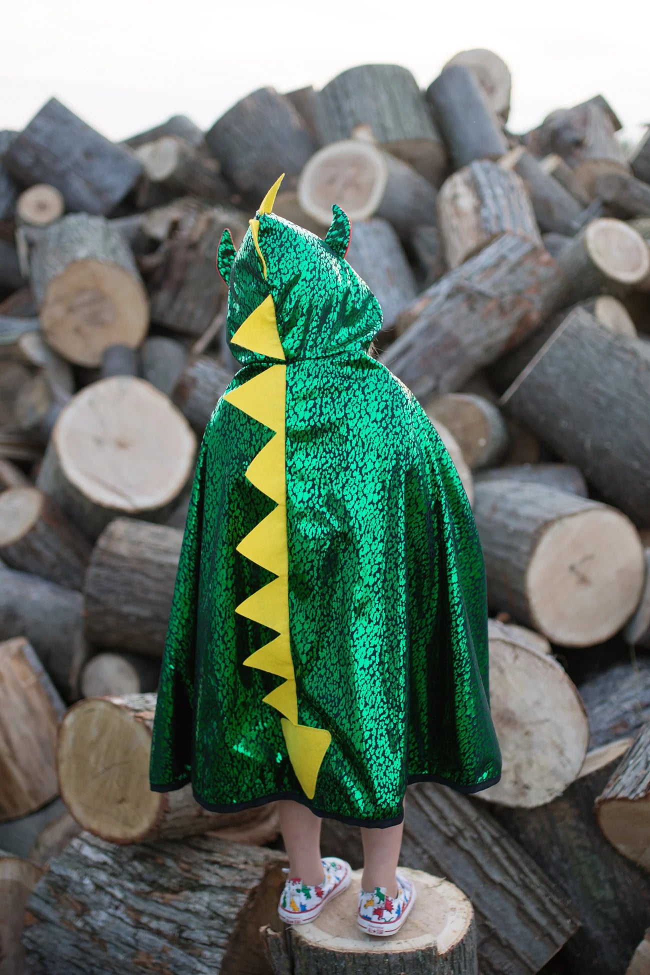 Dragon Knight Cape in Green & Silver