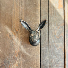 Load image into Gallery viewer, Cast Iron Hare Hook
