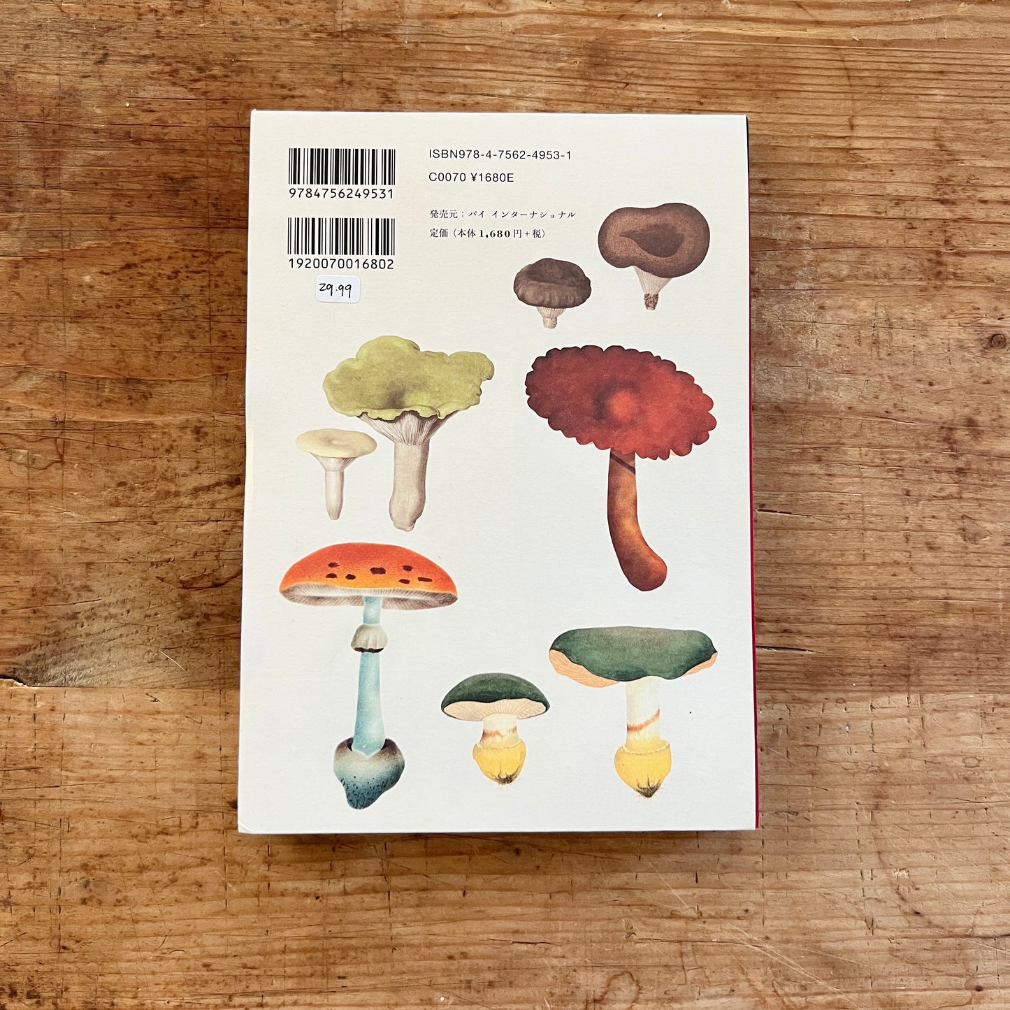 100 Writing and Crafting Papers of Mushrooms