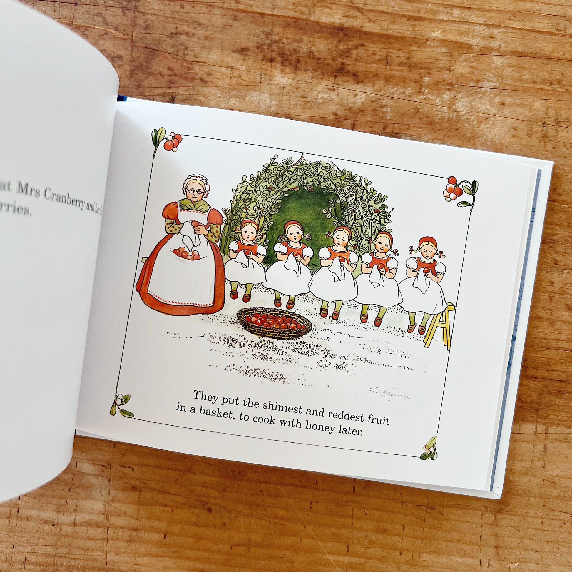 Illustration by Elsa Beskow of a mother and her five daughters wearing red caps polishing red cranberries. 