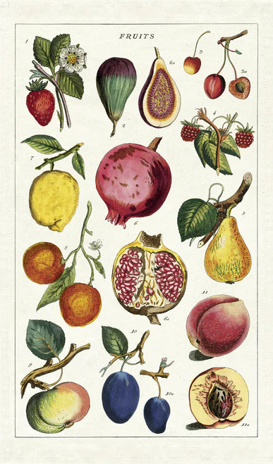 Cavallini | Fruits Tea Towel