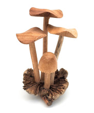 Load image into Gallery viewer, Hand Carved Wooden Mushrooms
