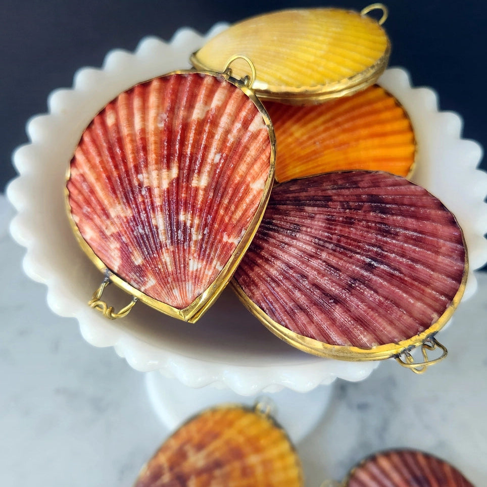 Seashell Coin Purse
