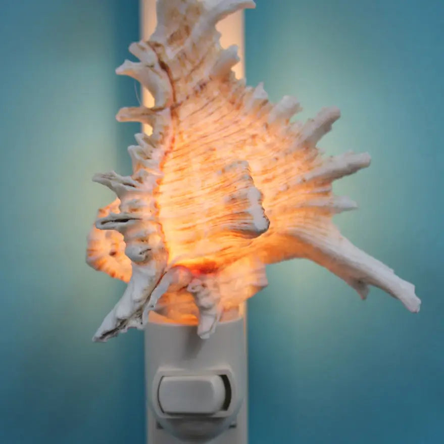 Ramosa Murex Seashell Night Light