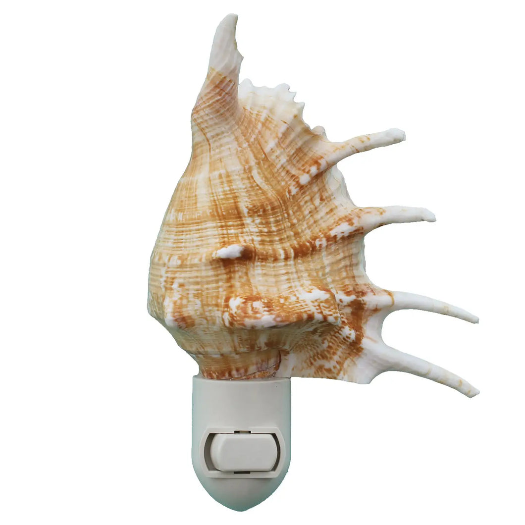 A seashell night light with a plastic switch base, featuring a beige and brown shell with a white switch.