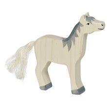 Load image into Gallery viewer, Holztiger | Wooden Animals
