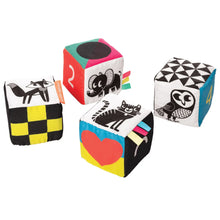 Load image into Gallery viewer, Manhattan Toy | Wimmer Ferguson Mind Cubes

