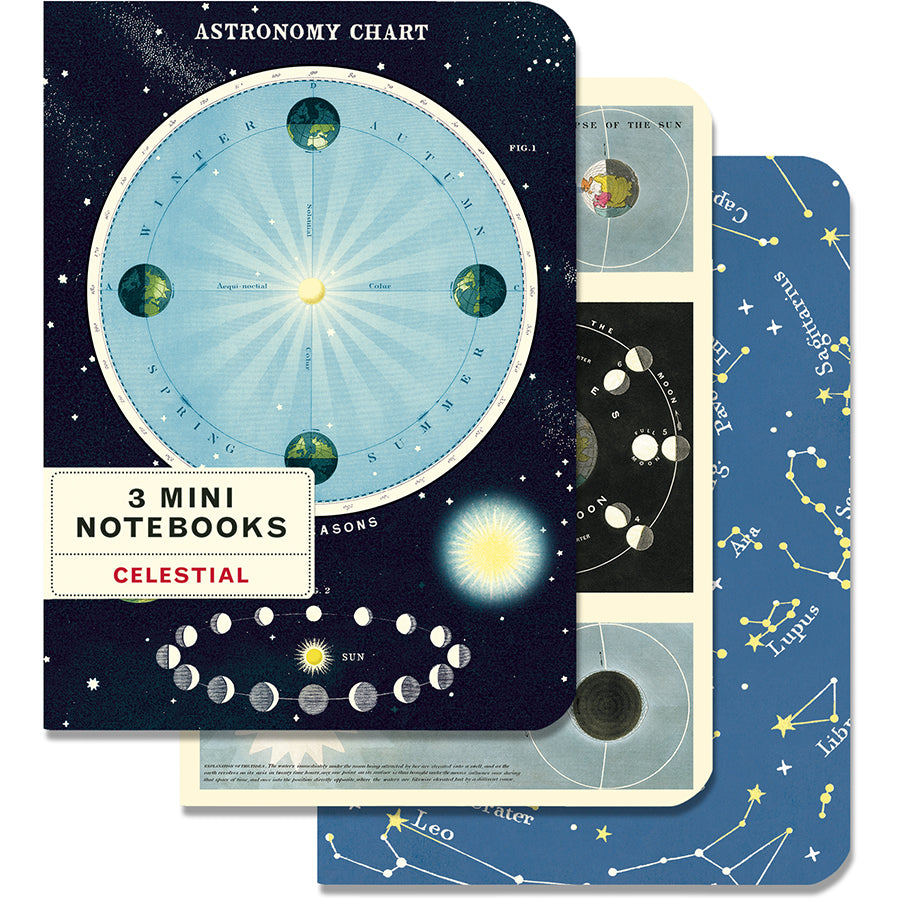 Cavallini | Celestial Mini Notebooks
