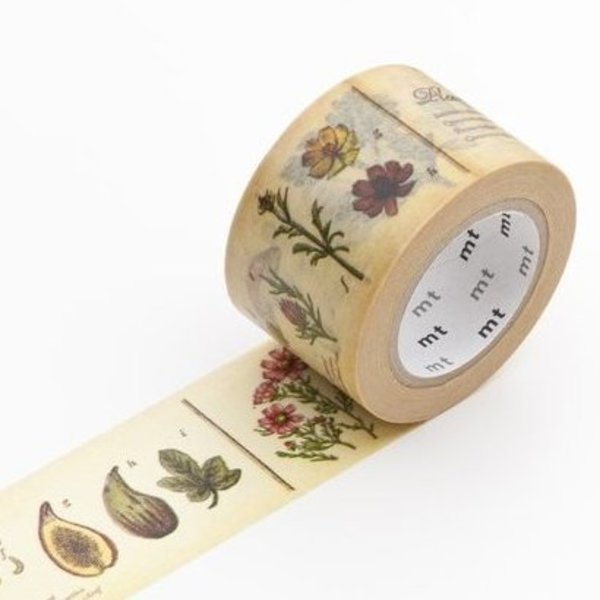 MT | Washi Tape in Plant Encyclopedia