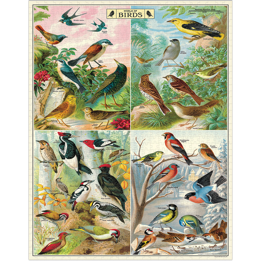Finished puzzle image: a vintage World of Birds chart with four panels of colorful labeled bird illustrations.
