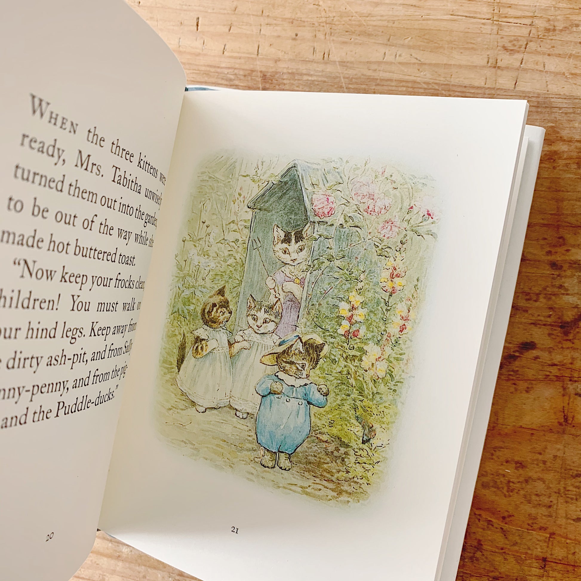 tale of tom kitten inside pages shot top view laydown on wooden background